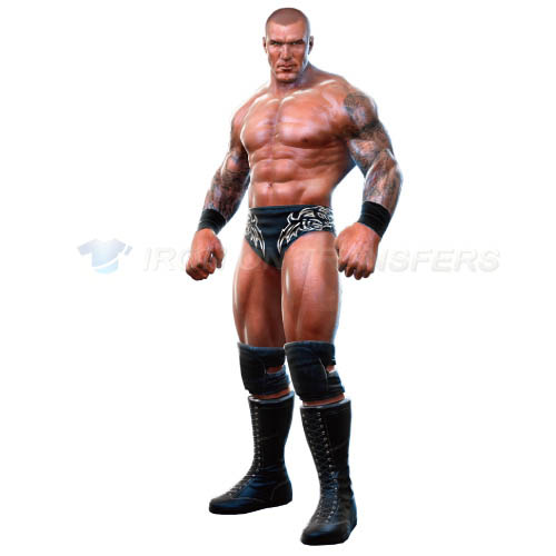 WWE Iron-on Stickers (Heat Transfers)NO.3961